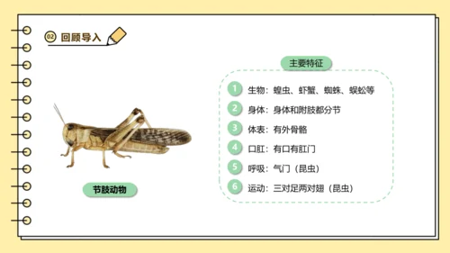 人教版生物八上 5.1无脊椎动物汇总 同步备课课件(共23张PPT)