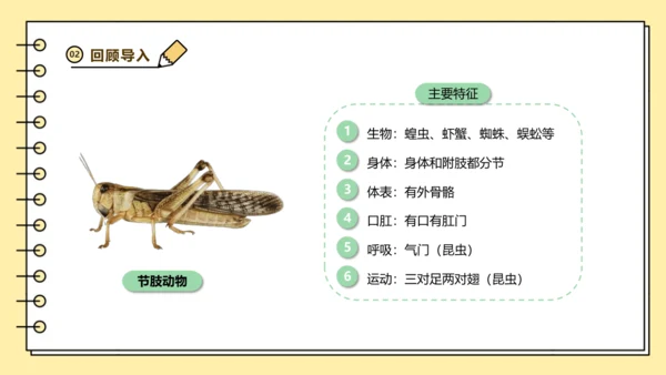 人教版生物八上 5.1无脊椎动物汇总 同步备课课件(共23张PPT)
