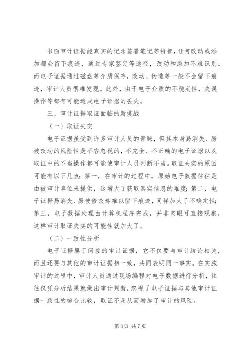 信息化环境下审计证据取证.docx