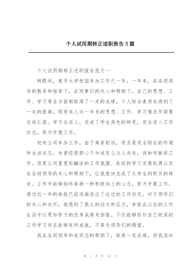 个人试用期转正述职报告5篇.docx