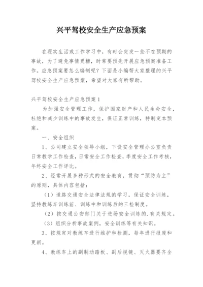 兴平驾校安全生产应急预案.docx