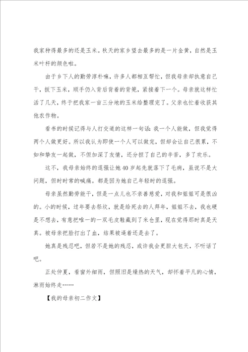 我的母亲初二作文