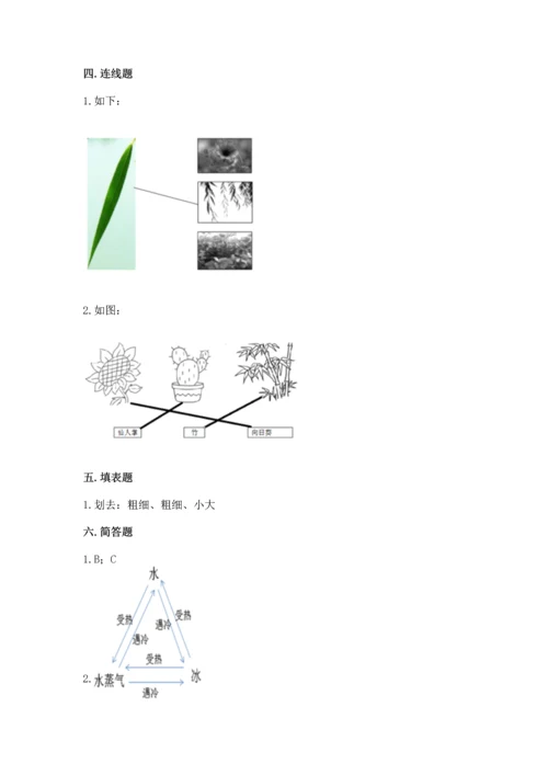 教科版科学一年级上册第一单元《植物》测试卷有答案.docx