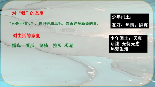 15《故乡》课件