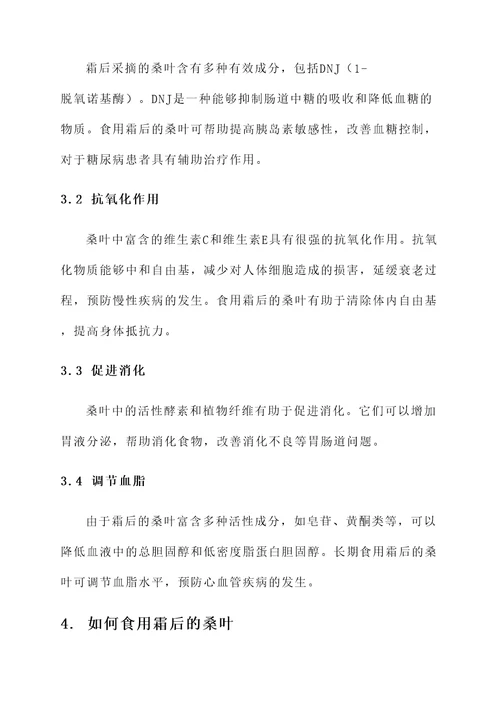 霜后的桑叶功效和作用
