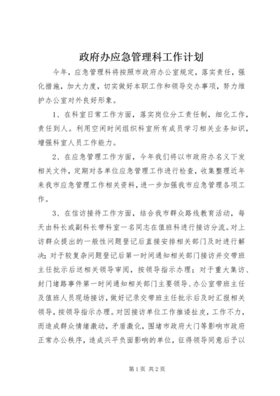 政府办应急管理科工作计划.docx