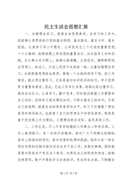 民主生活会思想汇报.docx