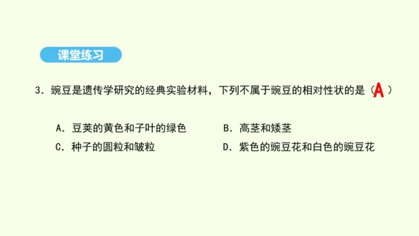 7.2.1基因控制生物的性状课件-人教版生物八年级下册(共26张PPT)