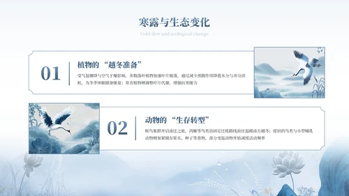 蓝色中式中国传统二十四节气之寒露教育宣传PPT模板