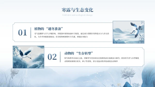 蓝色中式中国传统二十四节气之寒露教育宣传PPT模板