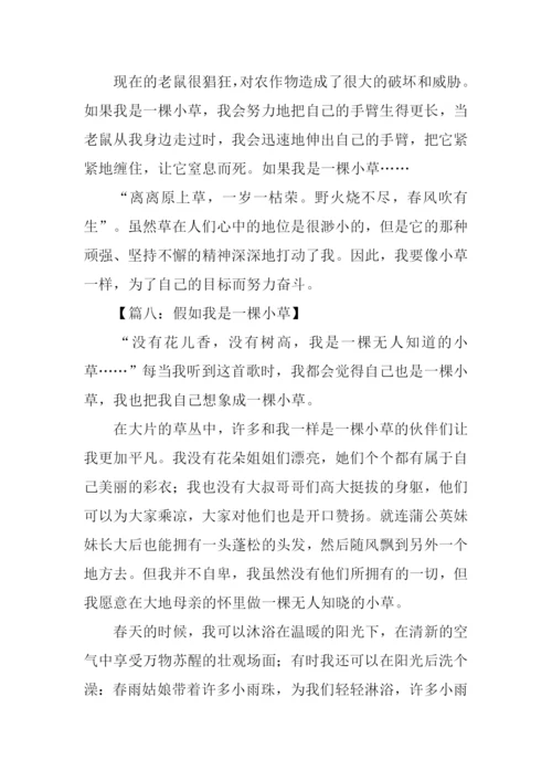 假如我是小草作文.docx
