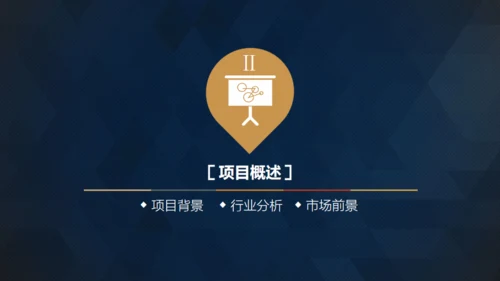 轻奢质感逼格创业计划书通用PPT模版