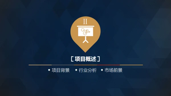 轻奢质感逼格创业计划书通用PPT模版