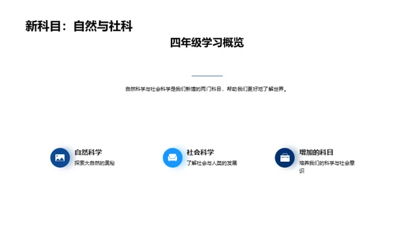 四年级学习之旅