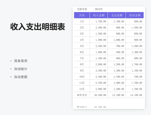 收入支出明细表