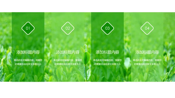 绿色唯美茶园艺术品茶文化茶园PPT模板