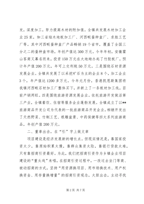 县乡镇企业会上的发言材料.docx