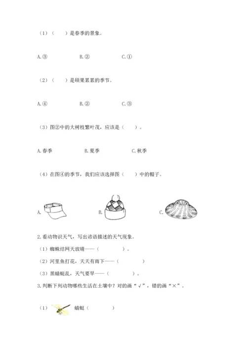 教科版二年级上册科学期末测试卷附答案【实用】.docx
