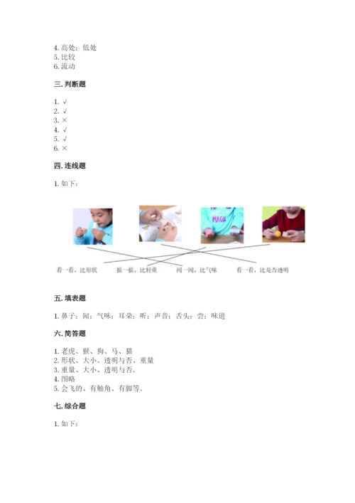 教科版一年级下册科学期末测试卷精品（名师推荐）.docx