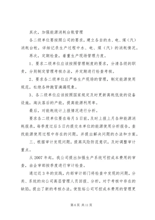 公司内部审计经验交流.docx