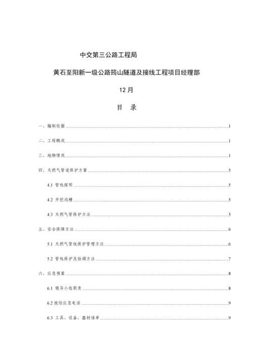 天然气管道保护专项方案.docx