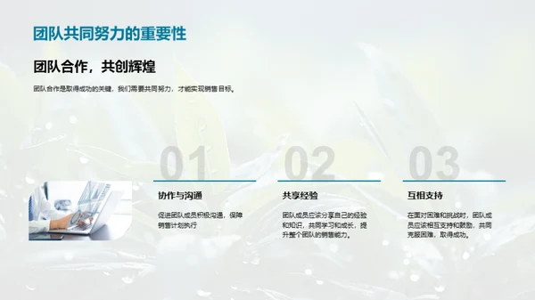 谷雨营销策略