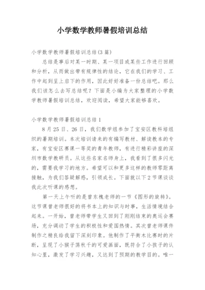 小学数学教师暑假培训总结_1.docx