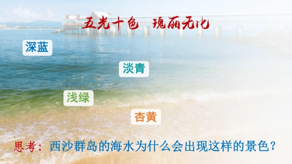 18.富饶的西沙群岛   课件