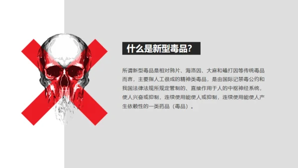 青少年禁毒宣传安全教育通用PPT模板