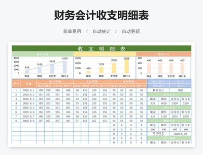财务会计收支明细表