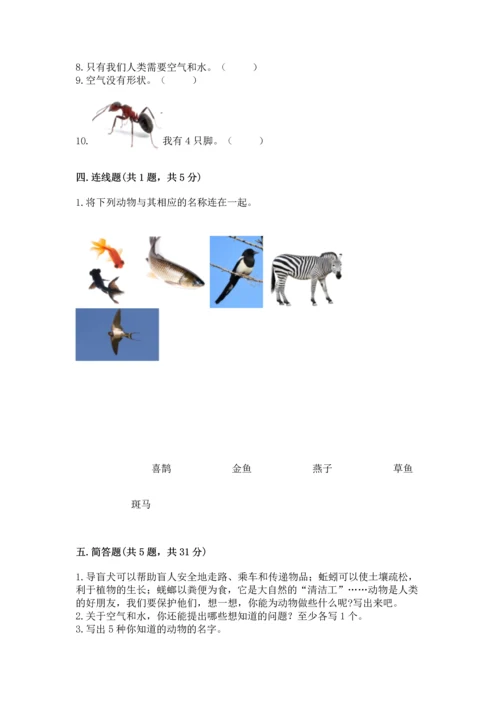 教科版一年级下册科学期末测试卷及答案（精品）.docx