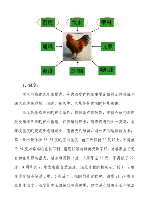 养殖示范鸡育雏管理新版制度.docx