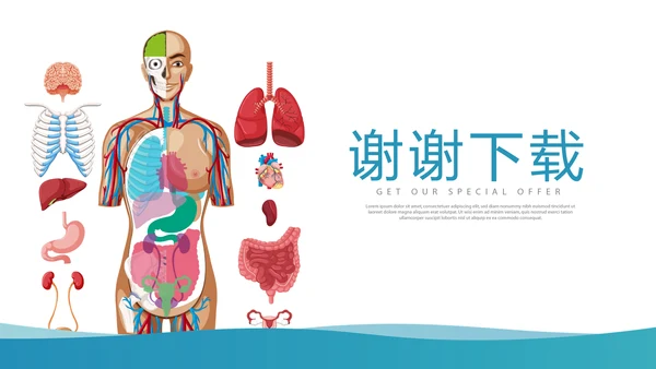 医疗医学人体结构动态PPT