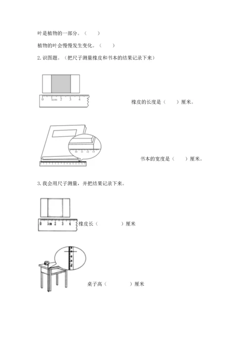 教科版一年级上册科学期末测试卷（精选题）.docx