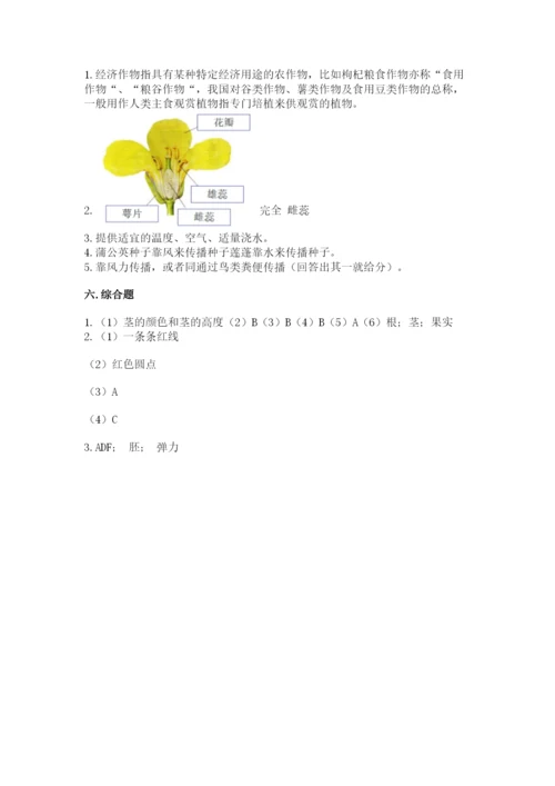 科学四年级下册第一单元植物的生长变化测试卷（完整版）.docx