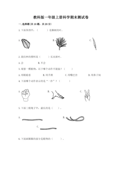 教科版一年级上册科学期末测试卷含完整答案（全优）.docx