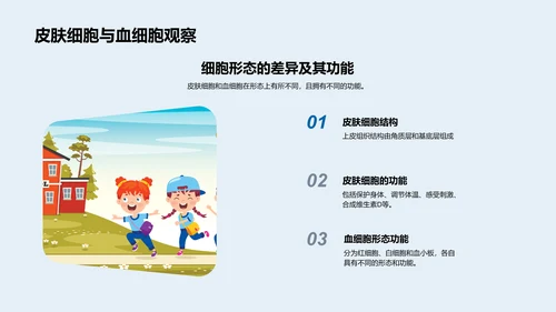初中生物细胞学报告PPT模板