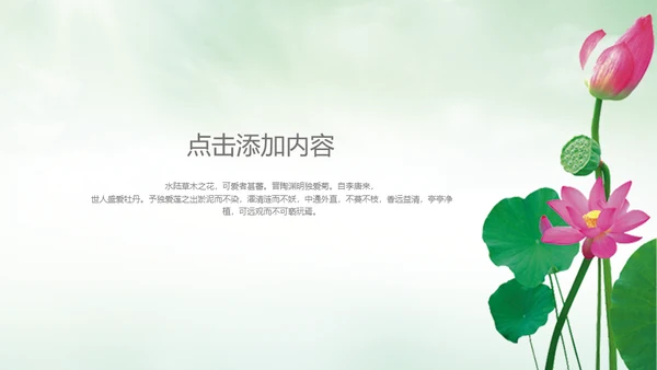 中国风荷塘风景荷叶荷花青莲通用PPT模板