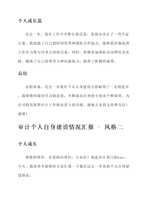 审计个人自身建设情况汇报