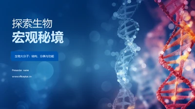 探索生物宏观秘境