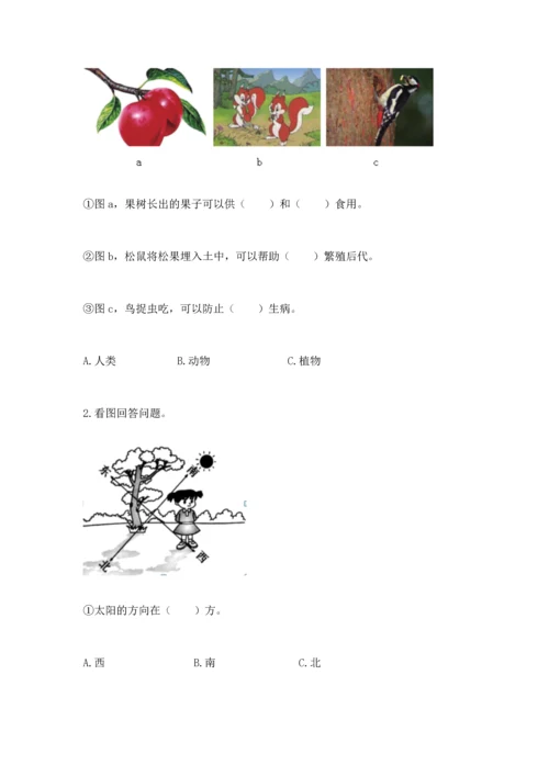 教科版科学二年级上册《期末测试卷》（达标题）.docx