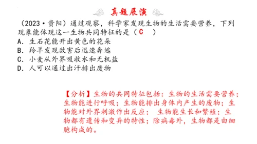 1.1 认识生物 2023-2024学年七年级生物上学期期末考点大串讲（人教版）(共19张PPT)