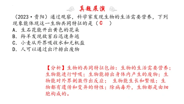 1.1 认识生物 2023-2024学年七年级生物上学期期末考点大串讲（人教版）(共19张PPT)