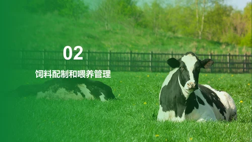 绿色现代养殖流程管理与疾病预防PPT模板