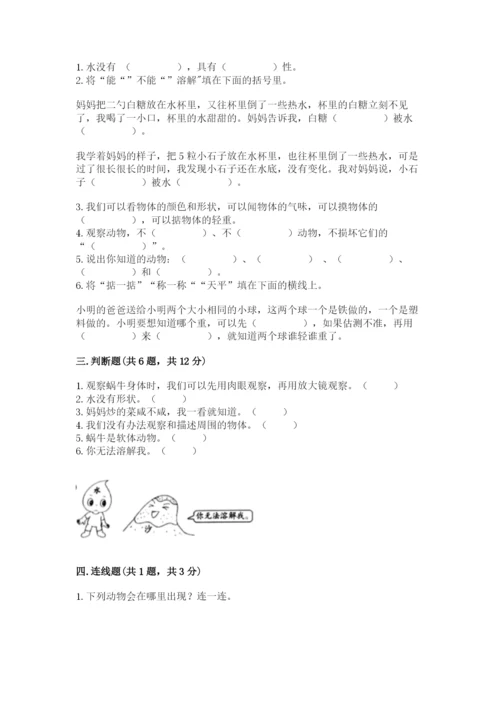 教科版一年级下册科学期末测试卷及答案（全优）.docx
