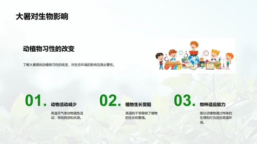 大暑生态影响及环保