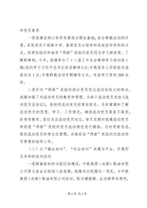 乡镇组织党建工作总结.docx