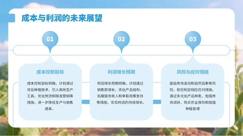 蓝色3D风乡村农产品销售总结PPT