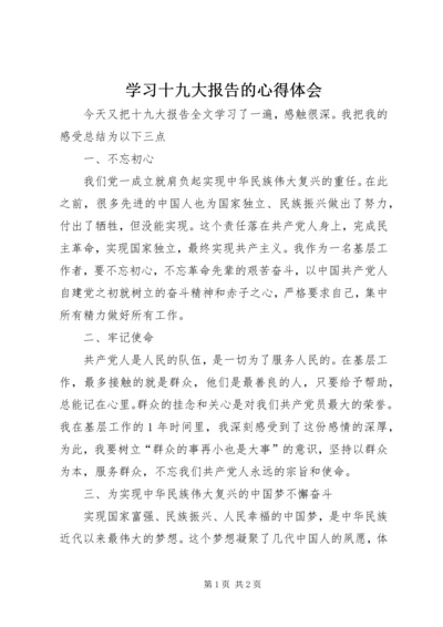 学习十九大报告的心得体会 (2).docx