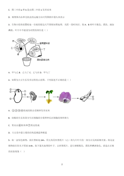 通用版初中生物七年级上册第三单元生物圈中的绿色植物考点突破.docx